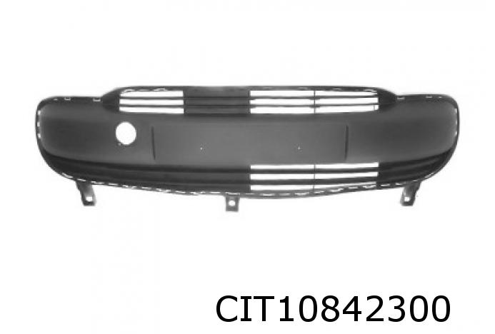 Grill für Stossstange C1 vorne