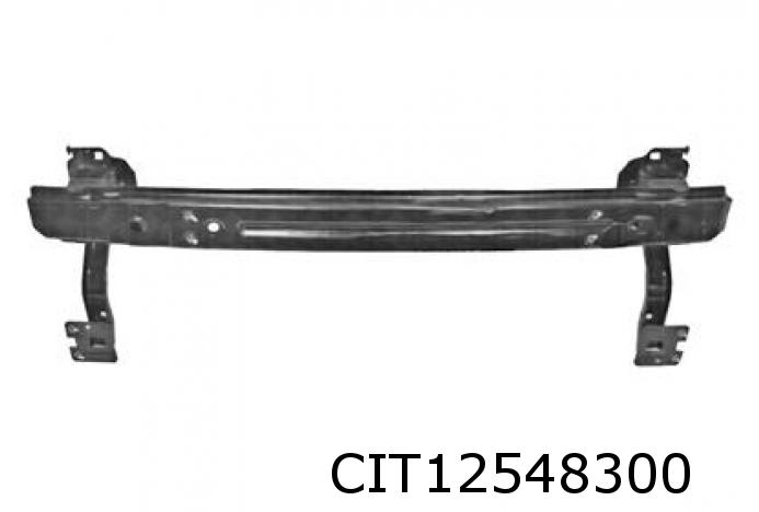Stossstangenträger vorne C3 III alle Typen DS3