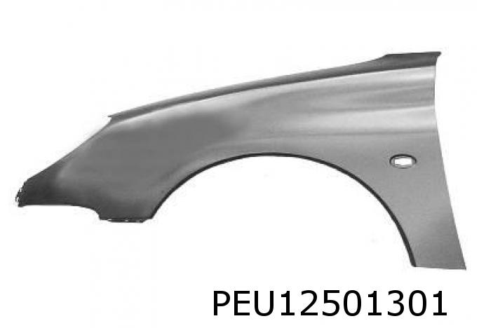 Kotflügel links 206 bis Modelljahr 2009 ausser 16V , CC