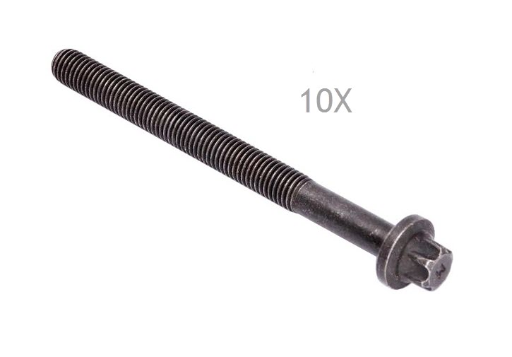 10x VITE TESTATA