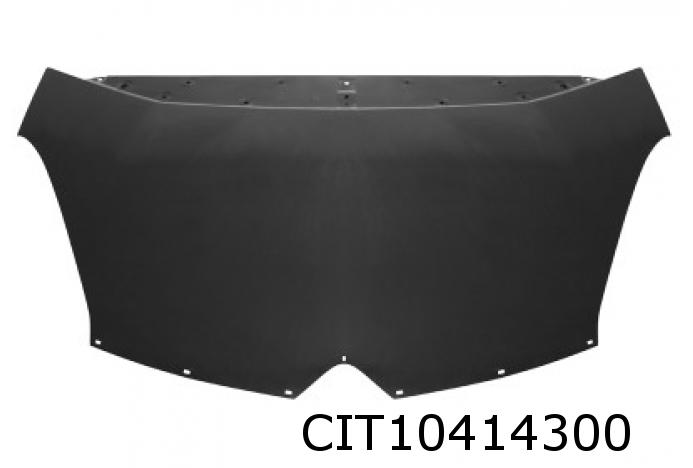Motorhaube C4 Picasso