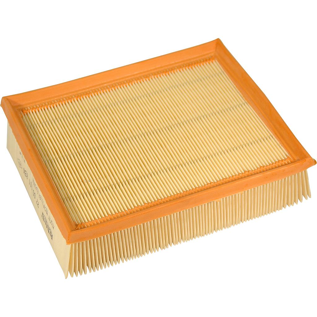 Filtro dell`aria Laguna / Safrane