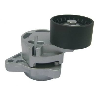 Riemenspanner Avantime, Espace III+IV, Laguna II, Master II+III, Trafic II, VelSatis