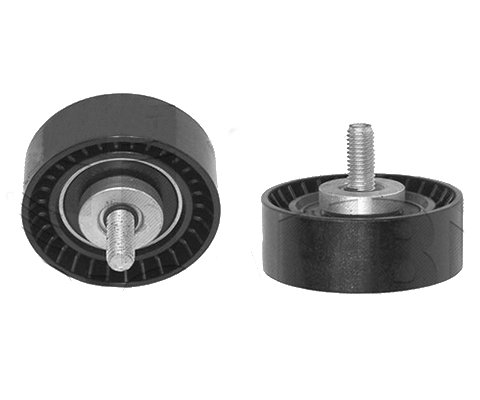 Puleggia di rinvio DW12