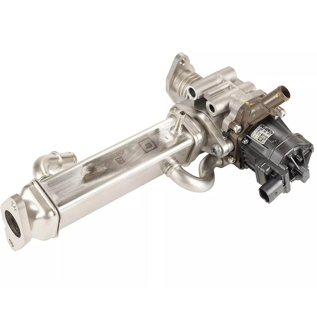EGR-EL-AUST-VENT