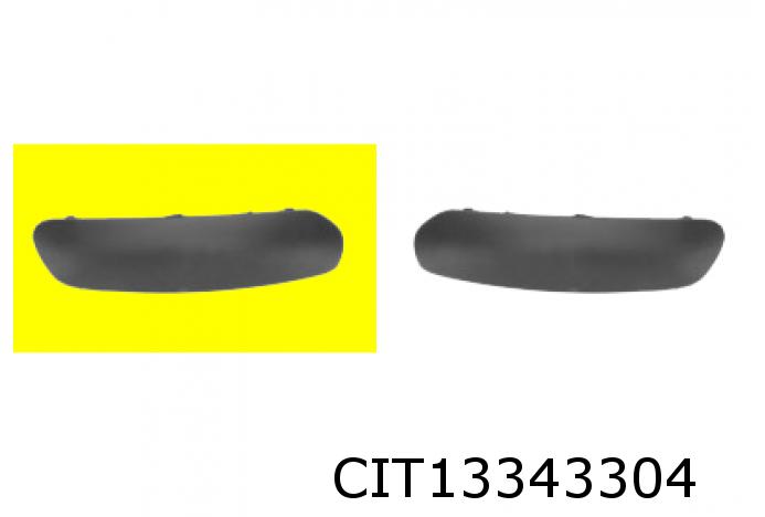 Schutzleiste C3 II vorne links schwarz