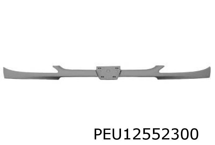 Kühlergitter 206