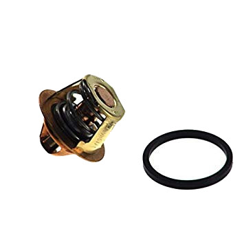 THERMOSTAT
