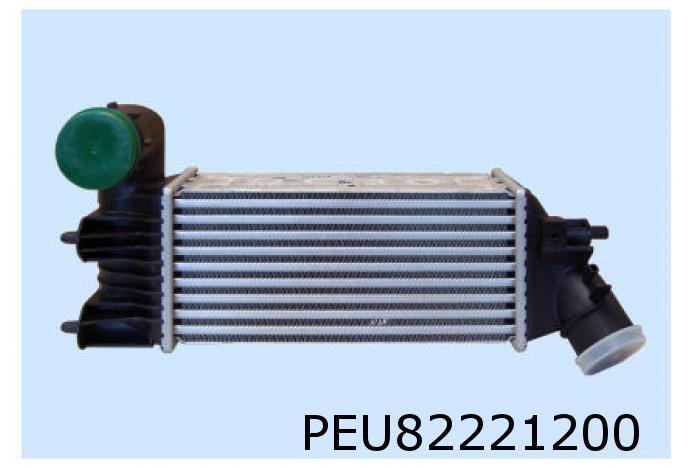 Ladeluftkühler C5 2,0 HDi / 2,2 HDi
