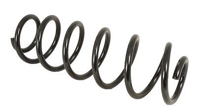 Molle DS3 posteriore