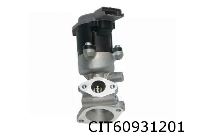 EGR Valve