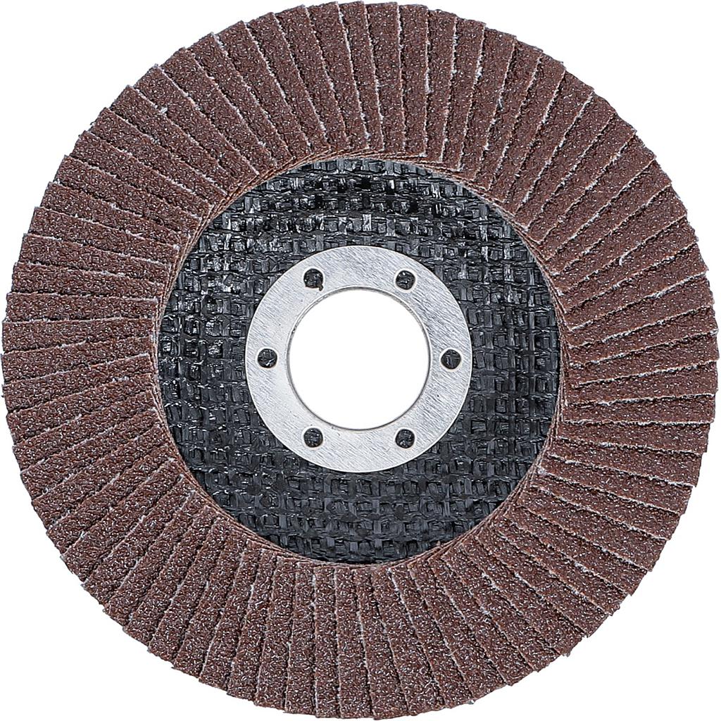 Fächer-Schleif-Scheibe | Ø 115 mm | K 80