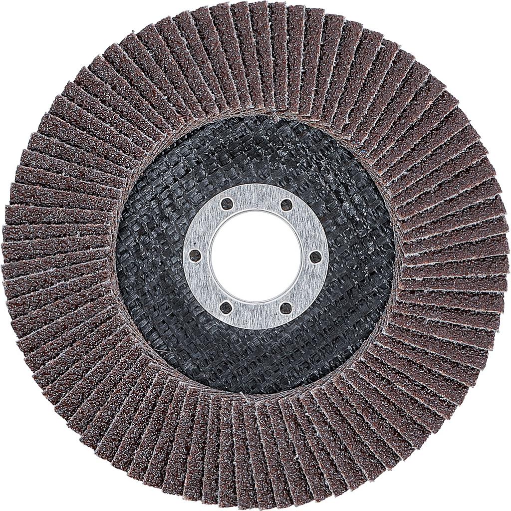 Fächer-Schleif-Scheibe | Ø 125 mm | K 40