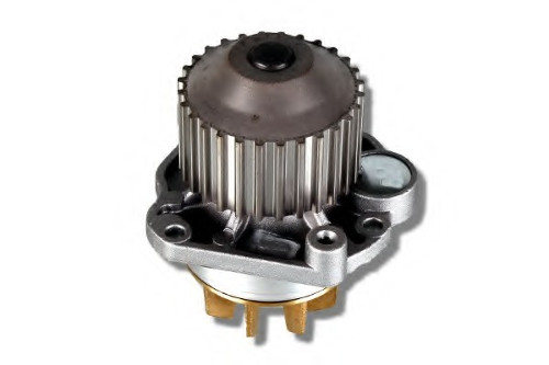 Wasserpumpe 3.0 V6