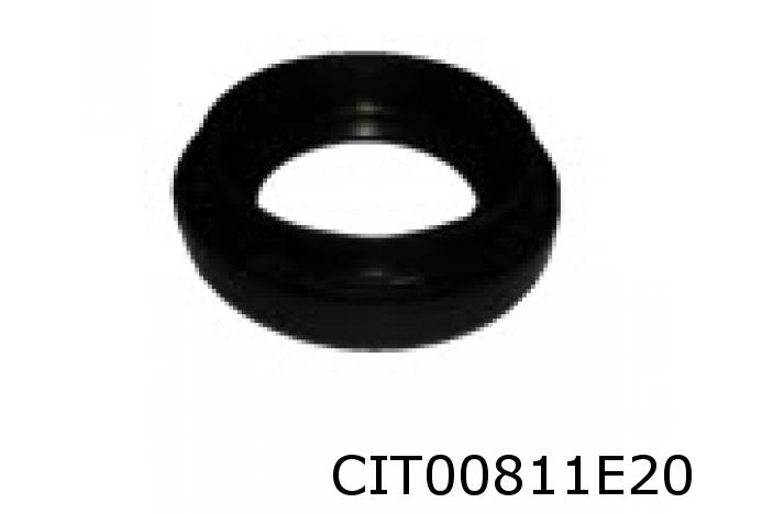 Wellendichtring, Differential